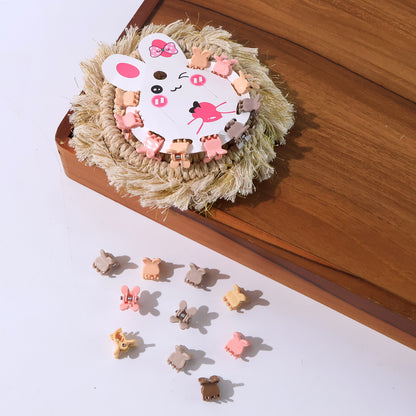 Mini Claw Hair Clips Set For Girls (12 Pkt  1 Set)